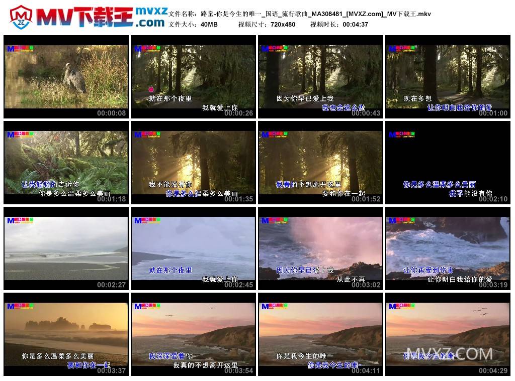 路童-你是今生的唯一_国语_流行歌曲_MA308481